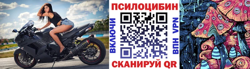Галлюциногенные грибы мицелий  Бирюсинск 